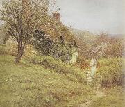 Helen Allingham,RWS South Country Cottage (mk46) oil on canvas
